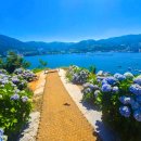 진성민박 이미지