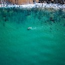 원포인트 이미지