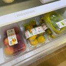 한림주짓수 | 더위사냥🍉🤿