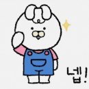 군산전자담배 디오션베이프 이미지