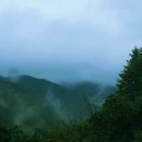 새방골산방 Daum카페