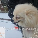 반석동로 이미지