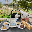 댕스기빙데이 이미지