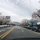 웅남동200 이미지