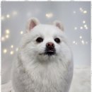 행복한미용실 이미지