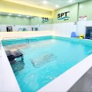 에스피티 이미지