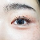 사파동304 | 창원 성산구 상남동 뷰러펌 속눈썹펌 잘하는곳 뷰티055! 한올한올 살아있는 속눈썹! 유지력도 짱이에요!