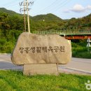 장흥생활체육공원 축구장 이미지