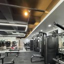 패러다임 짐 이미지