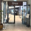 나인호텔 | 판교 나인트리 호텔 조식 후기 | 하이비스(Hibiscus) 뷔페 솔직 리뷰