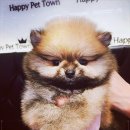 청구코아 상가 앞 이미지