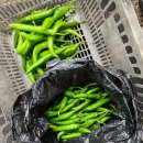 기우농장 이미지