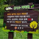 봉화산 유아숲체험원 이미지