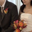 소솜 | 소솜브라이드 웨딩촬영 후기🎀 / 트렌디하고 퀄리티 좋은 토탈웨딩스튜디오 추천