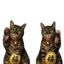 오른손 행정사사무소 이미지