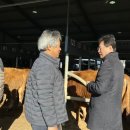 장수축산 이미지