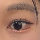 렌시스코리아 홍대점 | 렌시스 홍대점 국내 오프라인 매장 1호점