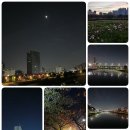 서울의 달 이미지