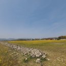 황룡사역사문화관 화장실 이미지