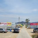 지산다육