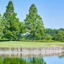 주식회사 나무인터내셔널 이미지