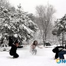 죽향민박 이미지