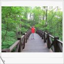 문성자연휴양림 이미지