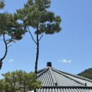 망성1농장 | 경주 아기랑 대형카페ㅣ동물 있는 카페노경보차라파