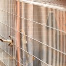 아라동물병원 이미지