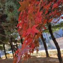 백운역 Daum카페