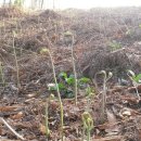 초촌농장 이미지