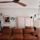 앤소프트 | [썸앤데코 소프트소파 실사용 후기]