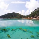 거북호텔 이미지