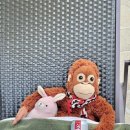 프라자슈퍼 이미지