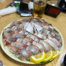 찬란 회 | 바다회사랑 연남, 여름엔 시마아지다 흑점줄전갱이 후기