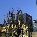 원밀리언 댄스스튜디오 수강 후기, 가격