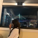 스타보드15 이미지