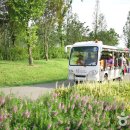 그늘막113 이미지