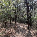 승달산길 | 전남등산 무안 승달산 왕복 2시간 30분 코스
