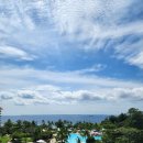 꿈나무 열대어 | 아들과 단둘이 여행 - 필리핀 세부 둘째날