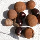 칠엽수 [horse chestnut] 칠엽나무, 왜칠엽나무 이미지