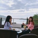 엘가팬션 이미지