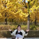 파주장애인자립생활센터 이미지