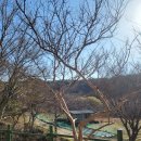 [충남 보령] 오서산자연휴양림, 자연 속 휴양관 원앙새(307호)
