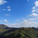 대한정육상회