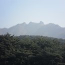 01-12 동구 Daum카페