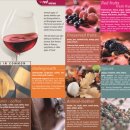 위드미진주상대현대점 | 와인 모임; 부르고뉴 메인지역 와인 마셔보기_ 디뱅시크레, 마랑쥐 블랑, 아르상보 본로마네, 페블레...