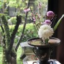 양명식당 이미지