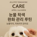 루틴펫살롱 이미지