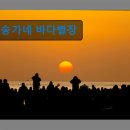 송가네펜션 | 강원도 묵호 동해 숙소 펜션 송가네 바다별장 편안한 바다 뷰의 숙소